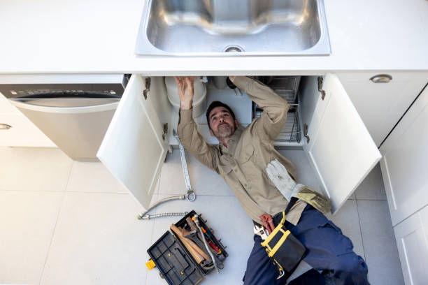 Best Plumbing Services Near Me  in Deerfield, MI