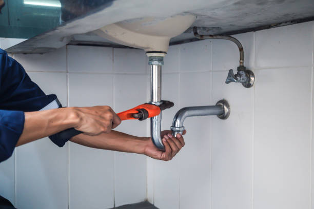 Best Emergency Plumber  in Deerfield, MI
