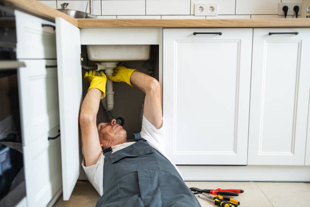 Best Best Plumbers Near Me  in Deerfield, MI