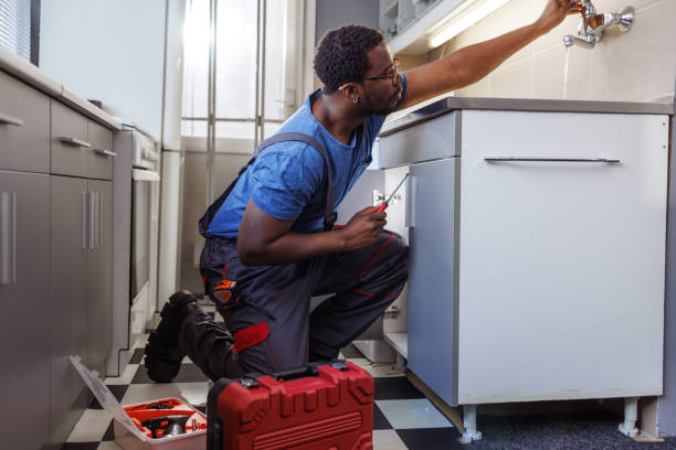 Best Toilet Repair Services  in Deerfield, MI
